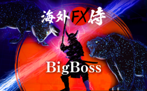 BigBoss vs XM特徴